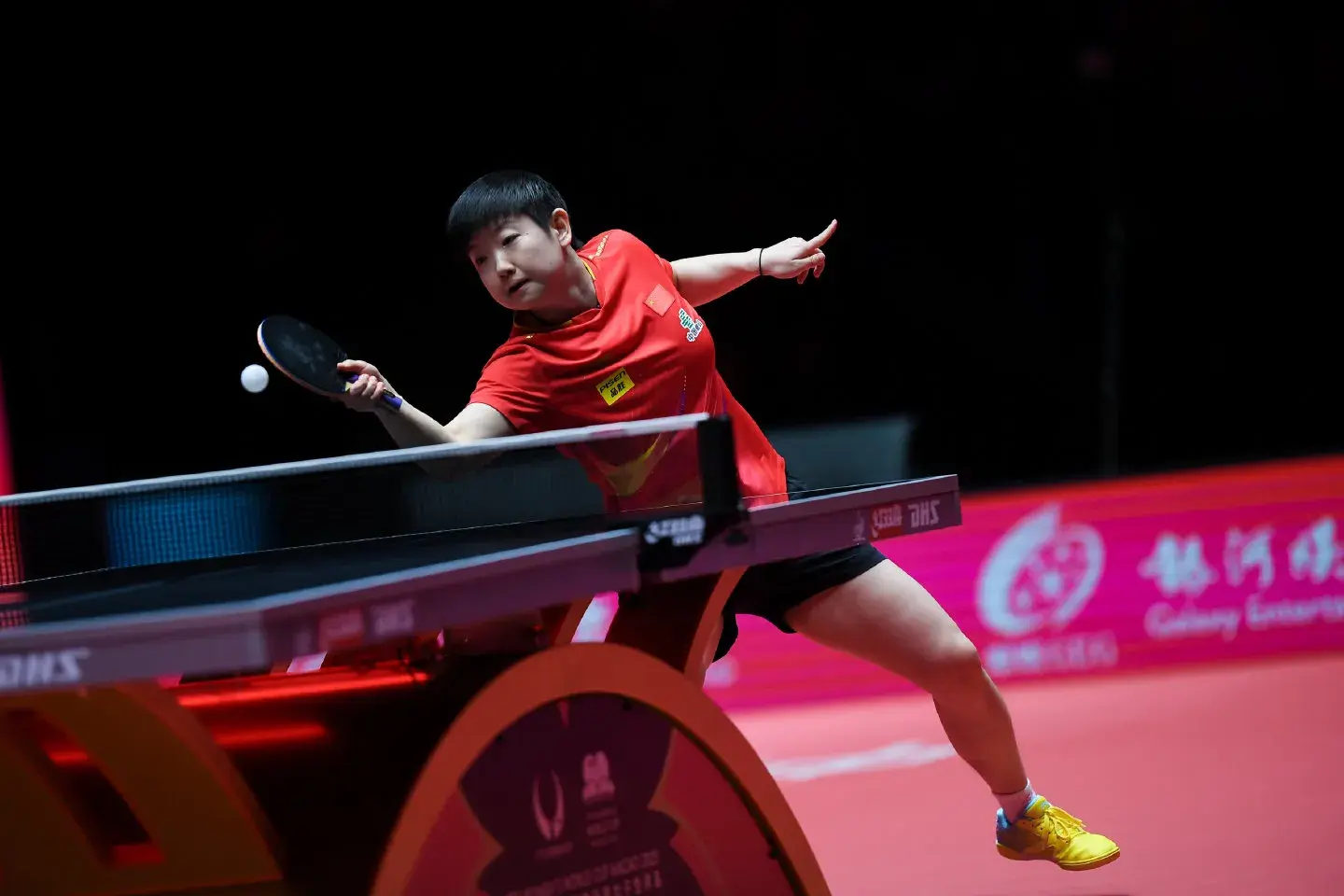 到王曼昱这, 数比较少而