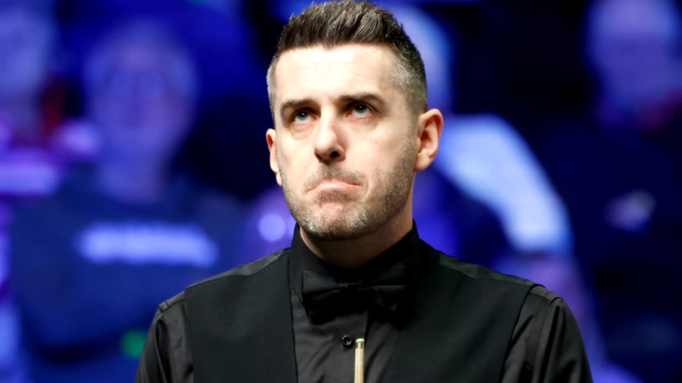 的表现胜出 的表现胜出